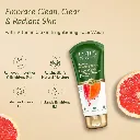 lotus 1.webp