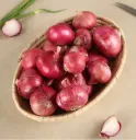 onion